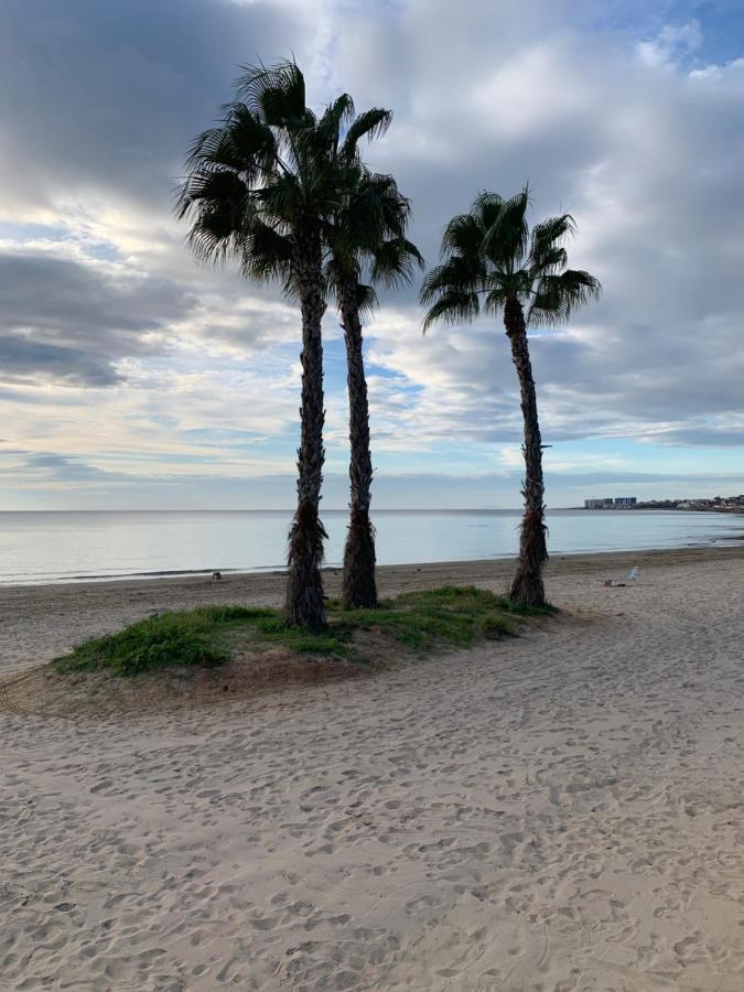 Sunshine Apartment Torrevieja Bagian luar foto